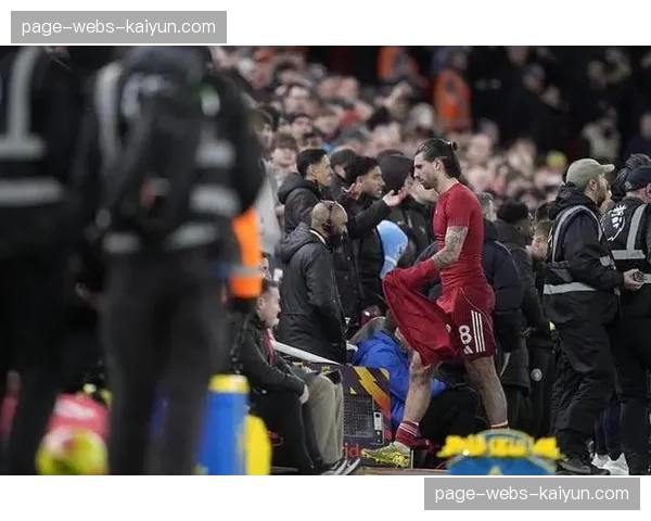 评论：VAR再次陷入争议，英超裁判公司承认利物浦进球被误判